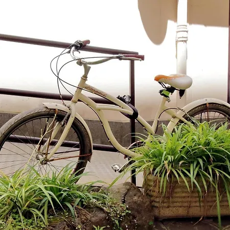 شقة Lucky Holidays